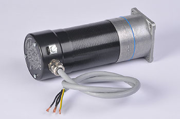 Explosion-proof motors