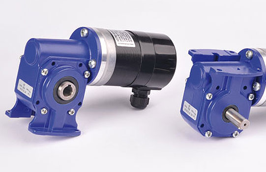 Worm Gear